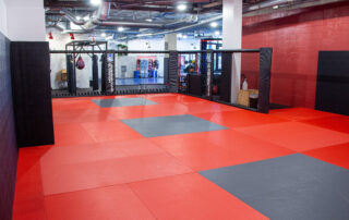 Redline Fight Sports Facility, Cambridge MA